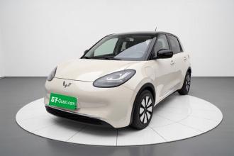 五菱汽车 五菱缤果 2023款 333km 悦享款