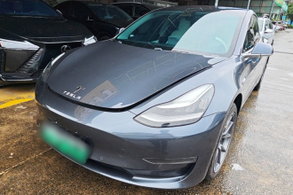特斯拉 Model 3(进口) 2019款 长续航后驱版
