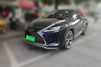 雷克萨斯RX 2020款 改款 300 四驱典雅版