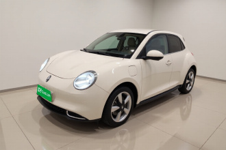 欧拉好猫 2023款 401km标准续航 豪华型 磷酸铁锂