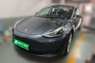 特斯拉 Model 3 2020款 改款 长续航后轮驱动版