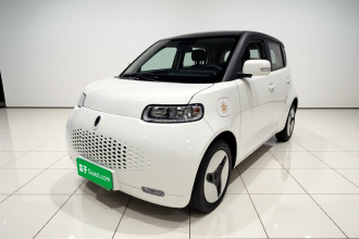 欧拉白猫 2020款 360km 豪华型