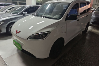 五菱汽车 五菱宏光新能源 2024款 纯电版 300KM 标准型