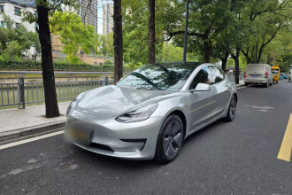特斯拉 Model 3 2020款 标准续航后驱升级版