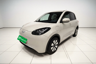 五菱汽车 五菱缤果 2024款 333km 悦享款