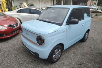 吉利银河 2023款 熊猫mini 200km 耐力熊