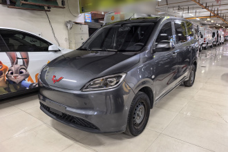 五菱汽车 五菱宏光新能源 2024款 纯电版 300KM 实用型