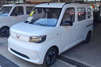 五菱汽车 五菱之光新能源 2025款 305km 进取型