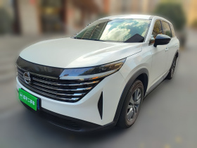 日产 探陆 2024款 380VC-TURBO 两驱智悦版 6座