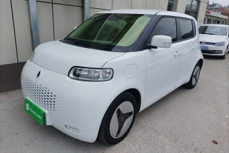 欧拉白猫 2020款 360km 豪华型