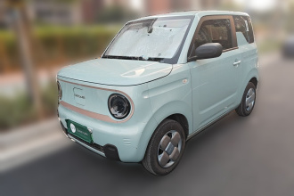 吉利银河 2023款 熊猫mini 200km 耐力熊