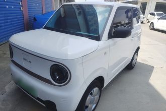 吉利银河 2024款 熊猫mini 200km 耐力熊