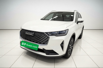 哈弗H6 2024款 1.5T 两驱经典版