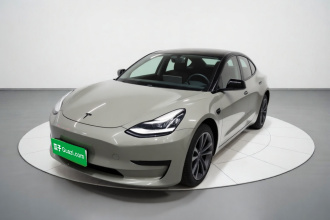 特斯拉 Model 3 2020款 标准续航后驱升级版