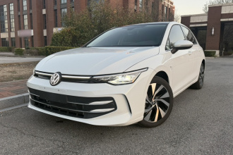 大众 高尔夫 2025款 300TSI Pro
