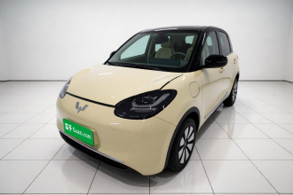 五菱汽车 五菱缤果 2025款 333km 悦享款