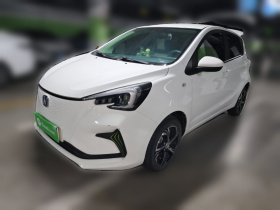 长安 奔奔E-Star 2022款 清心版 多彩款 磷酸铁锂