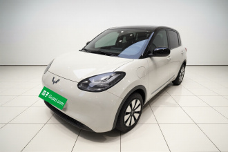 五菱汽车 五菱缤果 2024款 333km 悦享款