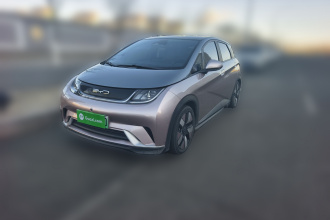 比亚迪 海豚 2021款 401km 骑士版