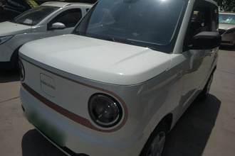 吉利银河 2024款 熊猫mini 200km 耐力熊