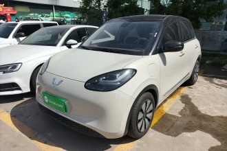 五菱汽车 五菱缤果 2023款 333km 悦享+款