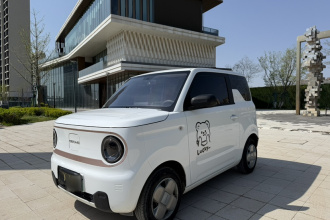 吉利银河 2024款 熊猫mini 200km 龙腾PRO版