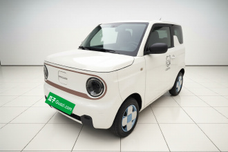 吉利银河 2023款 熊猫mini 200km 耐力熊