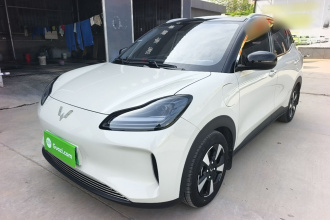 五菱汽车 五菱缤果PLUS 2024款 330km 五座版