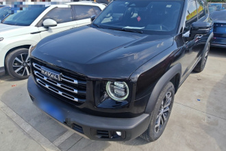 哈弗大狗 2021款 1.5T DCT两驱边牧版