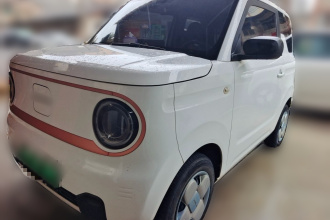 吉利银河 2023款 熊猫mini 200km 耐力熊