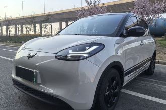 五菱汽车 五菱缤果 2023款 410km 灵犀尊享款