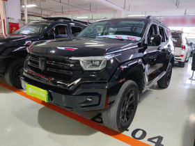 坦克400新能源 2024款 Hi4-T 越野版