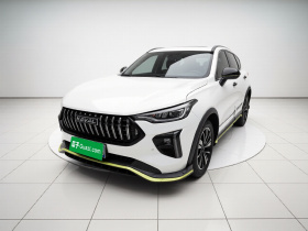 哈弗赤兔 2021款 激擎版 1.5T 黄金兔