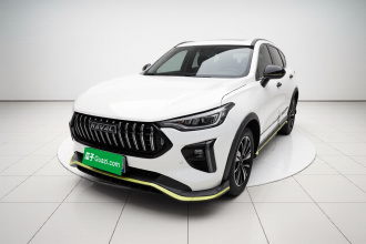 哈弗赤兔 2021款 激擎版 1.5T 黄金兔