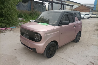 吉利银河 2023款 熊猫mini 200km 小黄鸭限定版 开心吖