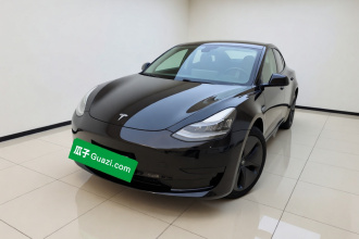 特斯拉 Model 3 2020款 改款 标准续航后驱升级版