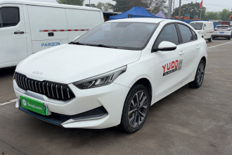 起亚K3新能源 2021款 EV 舒适版 410km