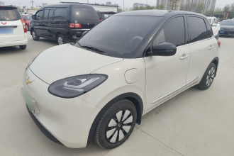 五菱汽车 五菱缤果 2024款 333km 悦享款