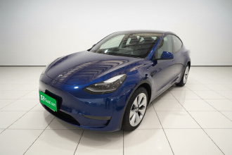 特斯拉 Model Y 2021款 长续航全轮驱动版