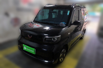 五菱汽车 五菱之光新能源 2025款 305km 进取型