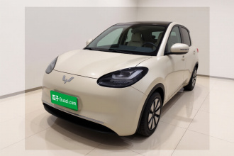 五菱汽车 五菱缤果 2024款 333km 悦享款