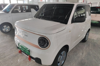 吉利银河 2024款 熊猫mini 200km 耐力熊