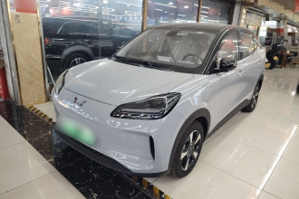 五菱汽车 五菱缤果PLUS 2024款 510km 五座版