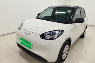 五菱汽车 五菱缤果 2023款 203km 轻享款