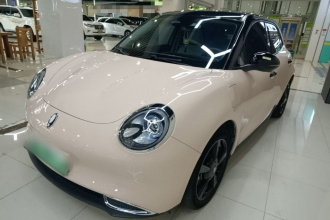 欧拉好猫 2024款 401km 豪华型