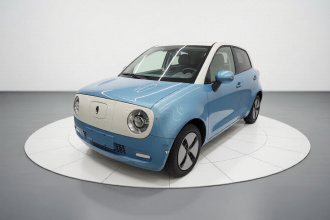 欧拉黑猫 2021款 301km 基础型