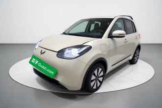 五菱汽车 五菱缤果 2024款 333km 悦享款