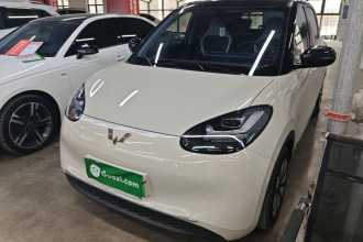 五菱汽车 五菱缤果 2024款 333km 悦享款