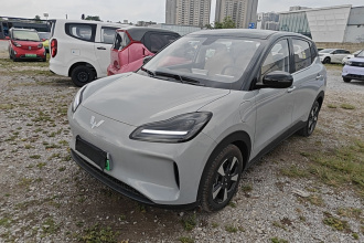 五菱汽车 五菱缤果PLUS 2024款 330km 五座版