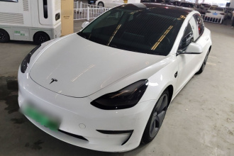 特斯拉 Model 3(进口) 2019款 长续航全轮驱动版